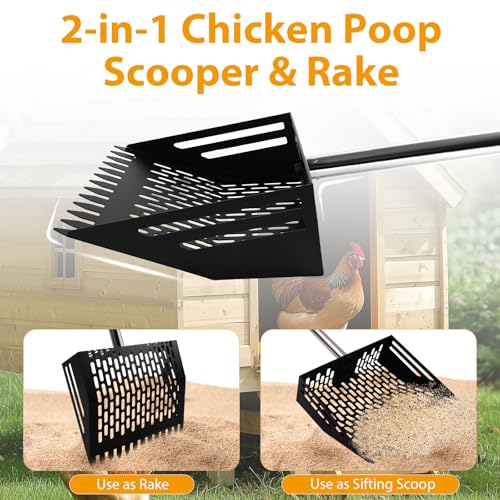 Chicken Poop Scooper & Rake,Metal Coop Scoop for Poop Sand with 35" to 62" Adjustable Stainless Steel Handle,Cleaning Supplies for Chicken Coops & Animals House
