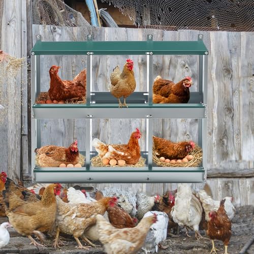 Chicken Nesting Box – 3/4/6/8-Room Metal Poultry Laying Box with Rollaway Egg Collection, Wall-Mounted Or Freestanding, Easy Assembly, Green(6 Holes)