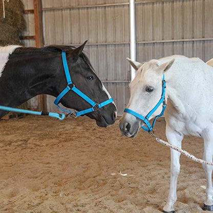 Majestic Ally Pack of 2 Adjustable Halter for Horses–Adjustable Chin and Crown– Sewn-in Throat Snap Hook- Heavy Duty Rose Gold or Black Nickel Finish Hardware–Full - color: Black-Rose Gold