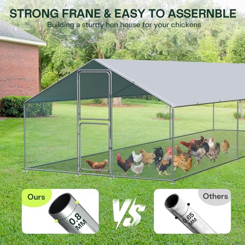Large Metal Chicken Coop, Walkin Poultry Cage for 30 Chickens with Full-Coverage PE Roof, Waterproof & Anti-UV Cover, Double Lockable Doors, Outdoor Hen/Duck/Rabbit House (20x10x 6.5 FT) - size: 236.0"L x 118.0"W x 79.0"H
