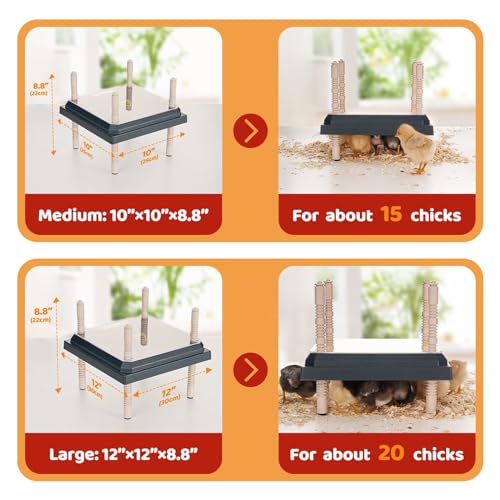 Longhzuo Chicken Brooder Plate for Chicks, Temperature Range 90°F-104°F, Adjustable Heights Chicken Heater, Heat Plate for 15 Chicks (10" X10")
