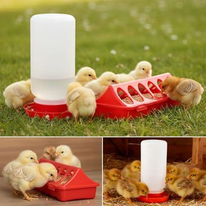 4PCS Chick Feeder and Waterer Kit,3×12-Hole Trough Feeders and 1 Low-Spill Chicks Waterer,Baby Chick Starter Kit for Small Poultry Chicks Ducks Quail Pigeons Birds