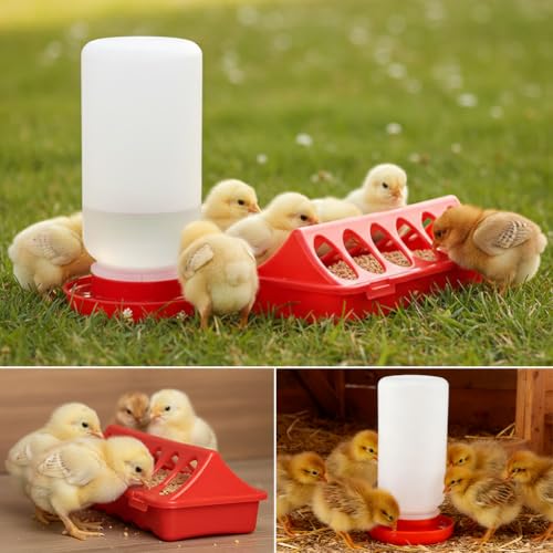 Chick Feeder and Waterer Set, 3 pcs 12 Hole Trough Feeders with Low-Spill Waterer for Baby Chicks or Ducklings Small Poultry, Brooder Coop Supplies Baby Chick Starter Kit (Color:Red)