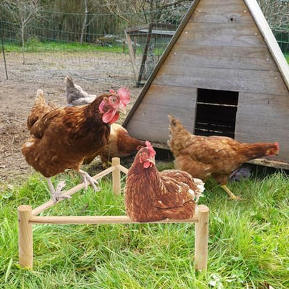 Chicken Perch for Coop & Brooder, Pine Wooden Chicken Toys & Coop Accessories for Chicken Triangular Gym Roosting Bar for Large Hens Parrots Birds, Natural Poultry Stand Chicken Nesting Support - 2P