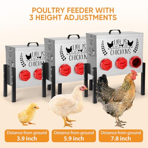 TGEYD 30 lb Chicken Feeder with 6 No-Waste Ports – Heavy-Duty Outdoor Metal Feeder with Adjustable Height, Locking Lid & Riveted Handles – Rustproof Feed Box for Poultry & Backyard Chickens - color: Rose-bengal