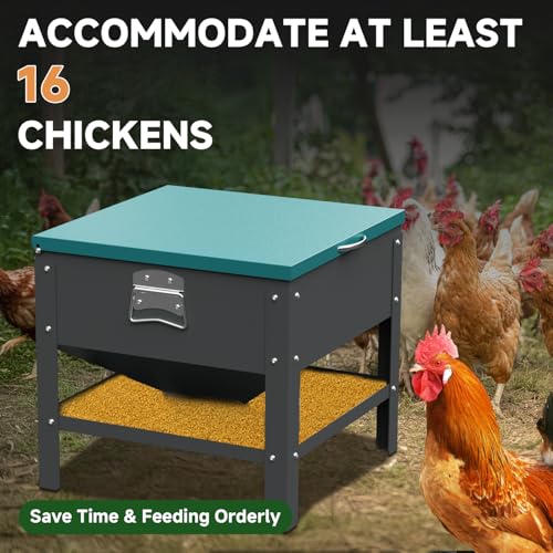 Heavy-Duty Automatic Chicken Feeder 60 lbs Capacity, No-Waste Gravity Poultry Feeder with Lid, Waterproof Galvanized Steel Feeding Box for Hens, Up to 16 Chickens for Coop & Run Use(Green) - color: Green