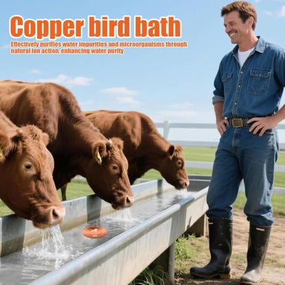 Copper Waterer Cleaning Disc, All Season Livestock Water Purifier Tray Keeps Water Clean for Poultry, Dogs & Cattle - size: dog