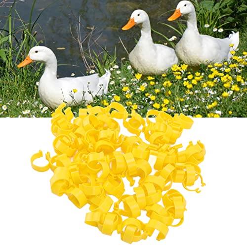 100Pcs Chicken Ankle Rings, Yellow Chicken Leg Rings, Plastic Poultry Leg Bands Rings for Ducks Guinea Goose Gamefowl Turkey (16mm) - size: 16mm
