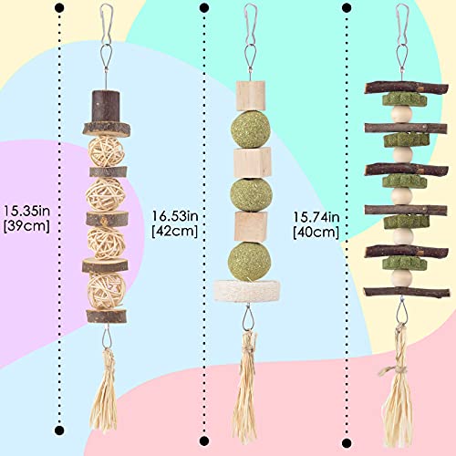 Bissap 3PCS Bunny Chew Toys, Natural Hanging Rabbit Chew Toy Treats for Guinea Pigs Hamsters Gerbils Chinchilla and Other Small Pets for Teeth Grinding - size: 3 PCS