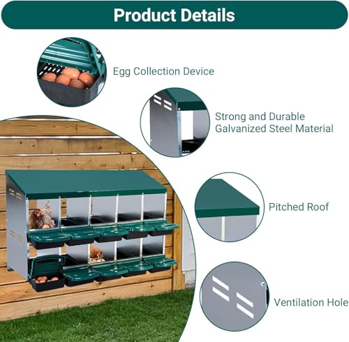 Chicken Nesting Boxes 10-Compartment Wall Mount Roll Away Poultry Laying Boxes with Easy Egg Collection & Cleanable Pull-Out Tray – Heavy Duty Hen Roosting Box for Coop - color: Green