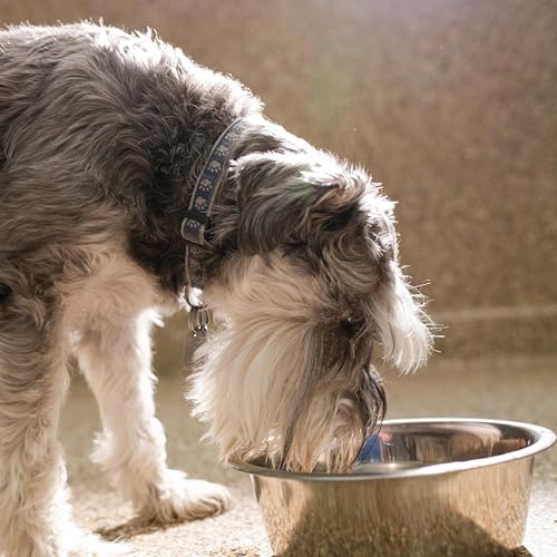 2-Pack Stainless Steel Dog Bowl ~ (8.8" Outer Diameter) Pet Feeder Replacement Bowls - size: 7.8 Cups