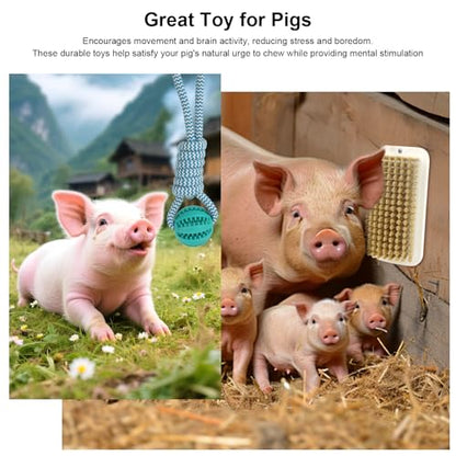 4Pcs Pig Enrichment Toy, Self-Grooming Scratch Brush and Treat Dispenser Ball Toys for Pigs