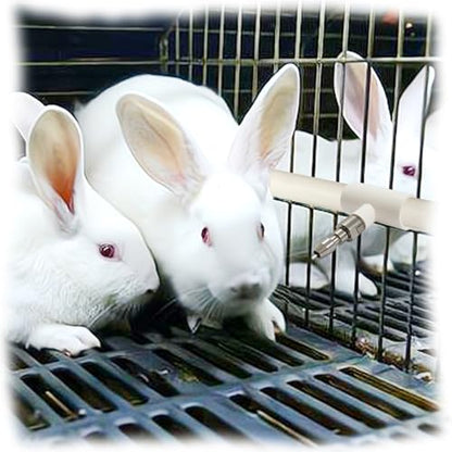 Stainless Steel Automatic Water Nipple System Kit with 1/2 Inch PVC Tee for Rabbits, Bunnies, Mouse(10pcs) - color: White-Flat mouth
