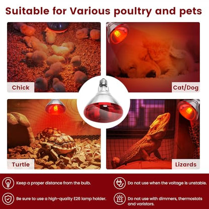DaToo Infrared Heat Lamp Bulb for Chickens Red Heat Lamp Flood Light Heat Lamp Bulb 150 W Heating Bulbs for Brooder Coops Pets Chicks Reptiles Food Service (1 Pack) - size: 1 Pack