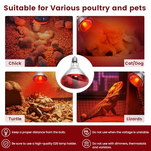 DaToo Infrared Heat Lamp Bulb for Chickens Red Heat Lamp Flood Light Heat Lamp Bulb 150 W Heating Bulbs for Brooder Coops Pets Chicks Reptiles Food Service (2 Pack) - size: 2 Pack