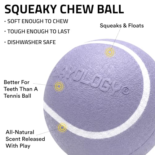 Playology Dog Toys | Squeaky Chew Ball for Dogs, Value 3-Pack | Lamb Scented Small Dog Balls | Bouncy Floating Chew Toys for Fetch - size: Small (VALUE 3-Pack), style: Lamb