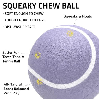 Playology Dog Toys | Squeaky Chew Ball for Dogs, Value 3-Pack | Lamb Scented Small Dog Balls | Bouncy Floating Chew Toys for Fetch - size: Small (VALUE 3-Pack), style: Lamb