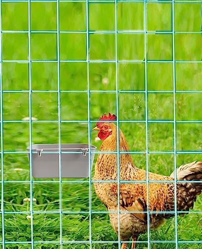 12 Pack Feeder Waterer Chicken 21 oz Food Water Cage Cups Rabbit Puppy Cat Hanging Feeding Dish Coop Bowl Watering Container Treats Drinker for Pigeon Bird Bath Basin Hamster Bed