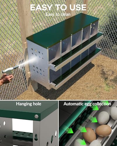 Galvanized Metal Chicken Nesting Box - 10 Compartments with Perch Rod, Egg Collection Tray & Fake Training Eggs - Rustproof Poultry Laying Box for Hens - color: Green, size: 10 Compartments