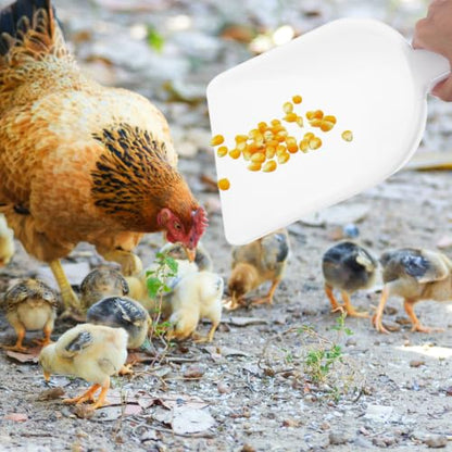 Plastic Poultry Feed Shovel Large Capacity Versatile White Pp Shovel Tool for Feeding and Farming Livestock with Sturdy Handle for Easy Scoop and Farm Use