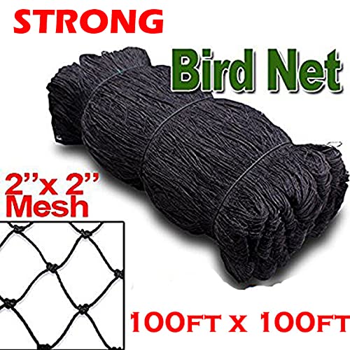 Strong All Season 100ft x100ft Net Long Lasting Netting for Bird Poultry Aviary Game Pens New 2" Square Mesh Size - size: 100ft x 100ft