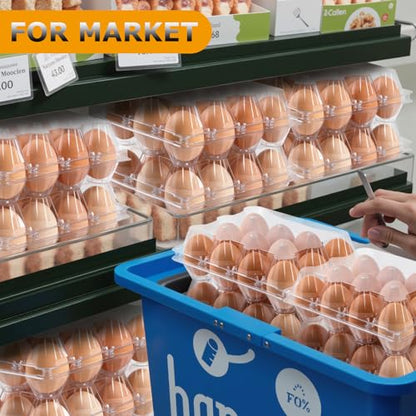 48 Pack Egg Cartons Cheap Bulk 12 Count, 1 Dozen Clear Empty Chicken Egg Cartons for Chicken Eggs, Plastic Egg Holder Egg Container for Family, Chicken Farm and Markets - Medium Reusable Egg Carton - size: 48P2×6
