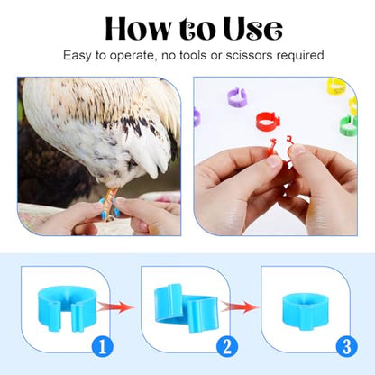 80 PCS Chicken Leg Bands, 1-80 Numbered Poultry Leg Bands 16mm Plastic Chicken Identification Rings, 8 Colors Coded Legs Band for Farmers Chickens Quail Chick Duck Bird