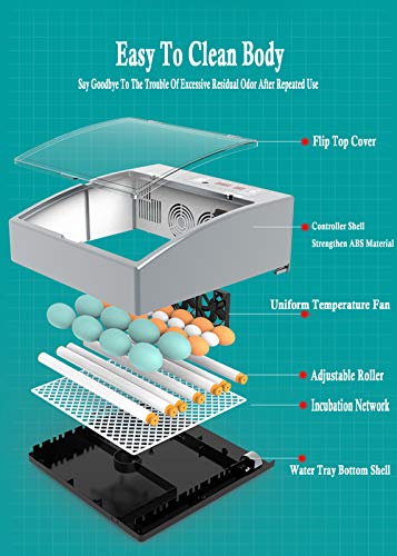 Egg Incubator with Automatic Egg Turning and Humidity Control, Incubator Small, Poultry Hatcher with Digital Display for Chickens Ducks Goose Others, Built-in Egg Candler - color: 24 Eggs Dual Power Supply