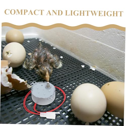 Toyvian Egg Turner Motor for Incubator Automatic Replacement Part Easy Installation Fits Models Precision Rotation for Healthy Convenient Incubator Accessory