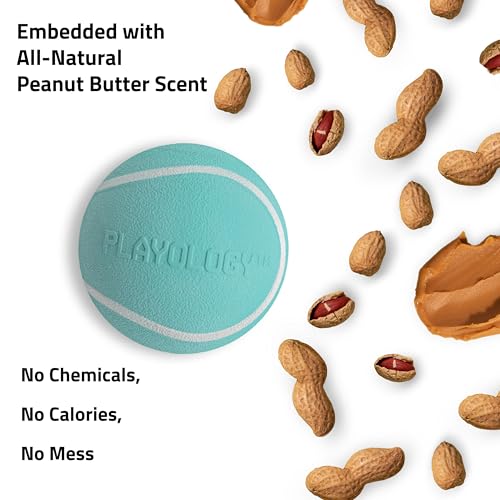 Playology Dog Toys | Squeaky Chew Ball for Dogs, Value 2-Pack | Peanut Butter Scented Medium Dog Balls | Bouncy Floating Chew Toys for Fetch - size: Medium (VALUE 2-Pack), style: Peanut Butter