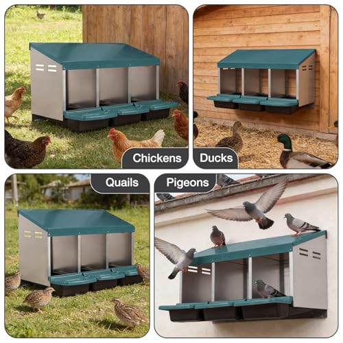 Chicken Nesting Boxes, 3 Compartments Egg Collection with Removable Drawer, Chicken Metal Laying Nest Box for Hens, Easy to Assemble, for Chicken Coop, Green - color: Green