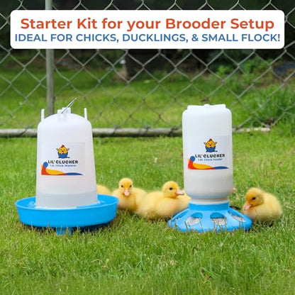 Lil'Clucker 1L Chick Feeder, 1.5L Chicken Waterer - No Leakage Chick Feeder and Waterer Kit, Durable Chicken Water Feeder, Chicken Feeder and Waterer Set, Poultry Waterer (Blue) - color: Blue