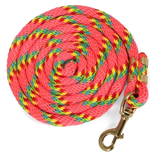 Jeffers Equine Poly Horse Lead Rope, 5/8" x 8', Heavy Duty, Durable Lead Rope with Bolt Snap, Rust Resistant Brass Hardware for Horses - Training, Grooming, & Equestrian Accessories - Pink - color: Pink with Spiral Pattern, size: 5/8inch x 8inch