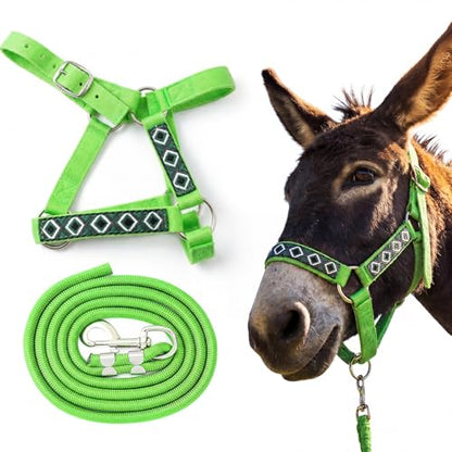1 Set Miniature Donkey Halter with Lead Ropes, Cute and Stylish Adjustable Nylon Head Collar Set for Miniature Donkeys (Bright Green) - color: Bright Green