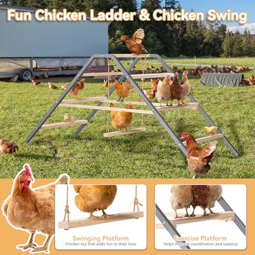 PETSFIT Chicken Roosting Bar-Solid Wood and Rustproof Iron Design, Chicken Perch with Swing for Healthy Poultry-Ideal for Backyard Coops, Farms, Easy to Assemble and Clean - size: 62"Lx24"Wx28"H