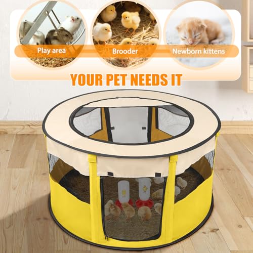 Chicken Brooder Box for Chick Starter Kit - 2026 Upgrade XL (Extra Large) Double Door Chick Brooder Pen//Holds Up to 20 Baby Chicks, Ducklings, Quail(Yellow)