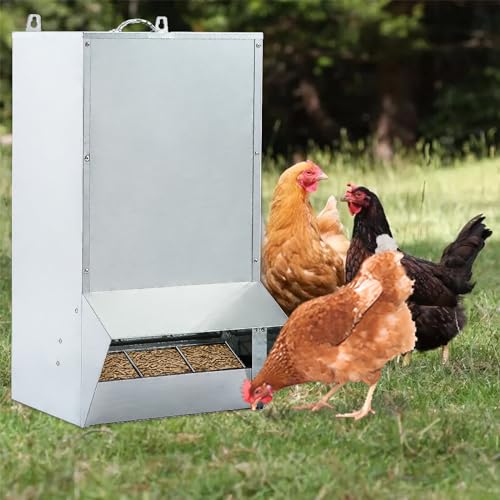 30lbs Capacity Galvanized Chicken Feeder,Outdoor Poultry Feeder with Weatherproof Lid,Hanging Chicken Feeder, Coop Food Dispenser