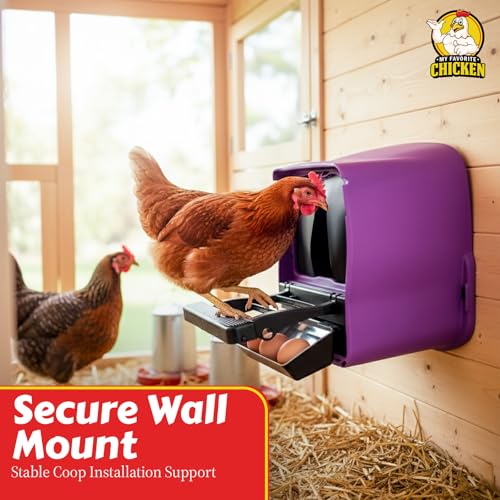 My Favorite Chicken Chick Box Lite Rollaway Nesting Box for Chickens – Single Hole Hen Laying Nest Box with Foldable Perch, Wall Mount, Ventilated Plastic Chicken Nest Box