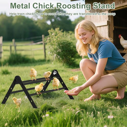 Adjustable Metal Chicken Perch for Coop, ULENDIS Heavy-Duty Chick Roosting Bar for Brooder, Chicks Stand Training Perches Ladder for Bird Parrot Hens Macaw (4 Roots)