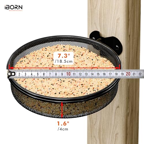 iBorn Wall Mounted Bird Feeder Tray,Metal Mesh Tray for 7.3”Wild Bird Seed Tray Tree Mount, Widely Installed on Wooden Post, Fences, Trees and Walls, Pack of 1 - size: Mesh Tray, Pack of 1