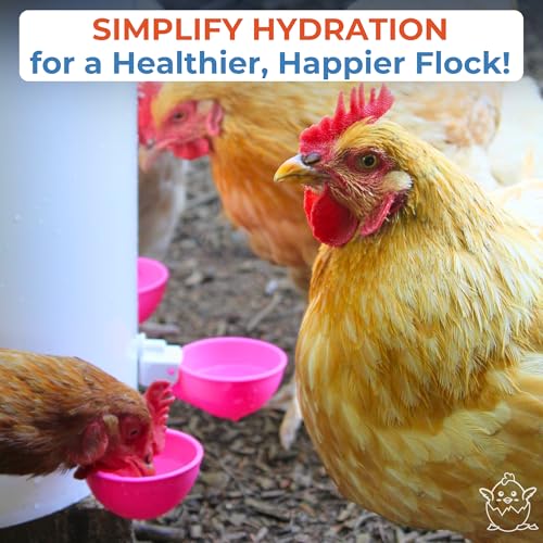 Lil'Clucker - Large Automatic Chicken Waterer Cups Suitable for Ducks, Geese, Turkeys, and Bunny Rabbit - Water Feeder Kit - Poultry Waterer (Pink, 12 Pack) - color: Pink, size: 12 Pack