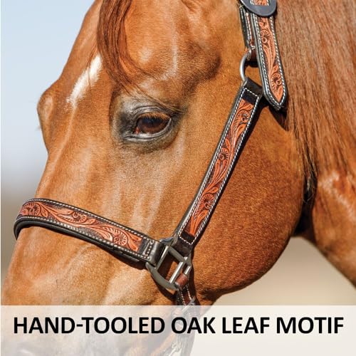 Schneiders Double S Tooled Leaf Padded Leather Ranch Halter for Horses | Elegant Design & Custom Fit for Your Horse - size: Full Horse