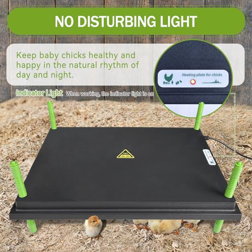 16"x22" Chick Brooder Heater Plate, Brooder Plate for Chicks with Adjustable Height for Baby Chick Duck, 50W Constant Temperature Control Chick Warmer for Energy Saving - size: 16" x 22"