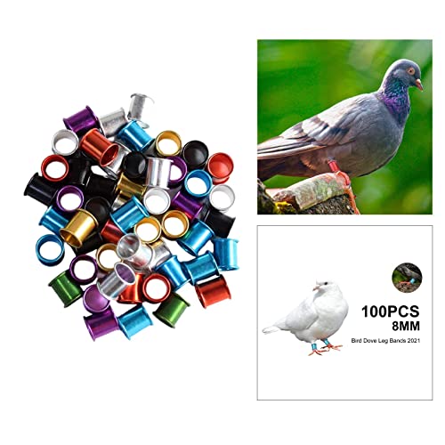 100 Pieces Pigeon Foot Rings Aluminum Bird Leg Bands Identification Clips for Chicks Bantam Finches Dove Supplies Suitable for Pet