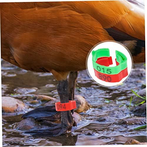 Yardwe 200pcs Chicken Leg Bands Poultry Leg Ring Bird Accessories Identification Rings for Chicks