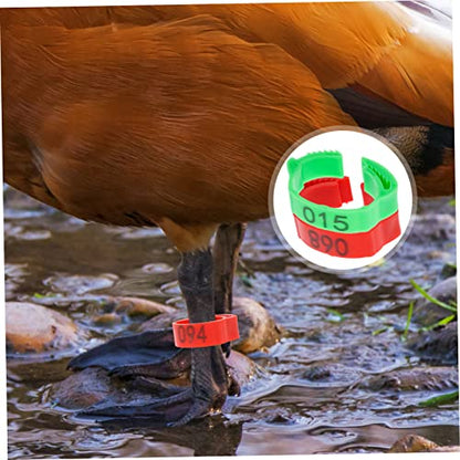 Yardwe 200pcs Chicken Leg Bands Poultry Leg Ring Bird Accessories Identification Rings for Chicks