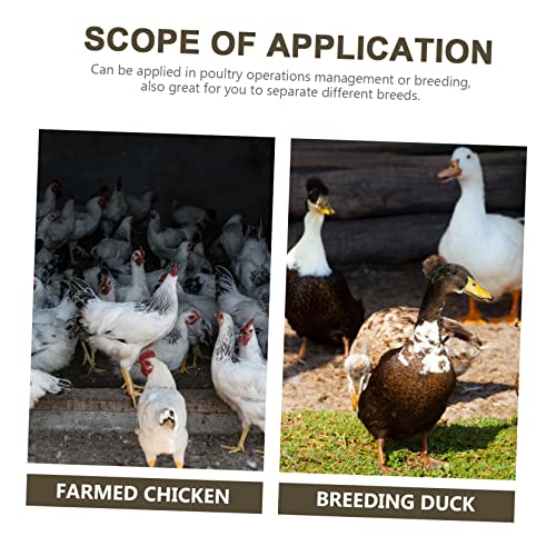 Kisangel 100pcs Adjustable Chicken Leg Bands Numbered Poultry Identification Rings for Easy Chick and Bird Identification Lightweight and Safe Material for Pigeons and Poultry Use - color: Yellow