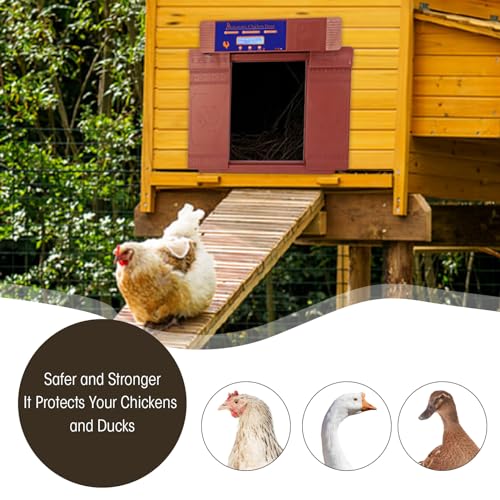 Automatic Chicken Coop Door Opener Anti Pinch IP45 Solar Powered Poultry Coop Door with Timer (Antique Brass) - color: Antique Brass