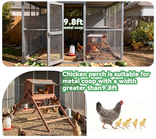 Chicken Roosting Bar, Nesting Box with Waterproof Roof+Perches+Swing | 3 In 1 Design for Hens, Indoor & Outdoor Roosting Bar, Ideal for 5-8 chickens - size: 58.0"L x 27.0"W x 35.0"H