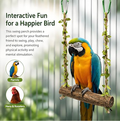 Wooden Chicken Swing Perch with Hanging Chains for Birds | Natural wood swing perch with chains for chicken coops, bird cages, parrot play areas and backyard flock enrichment